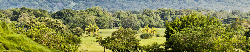 Costa Rica Stand Up Paddle Camp