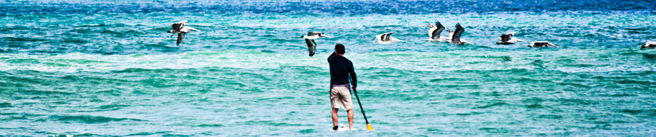 Paddle Boarding Avellanas