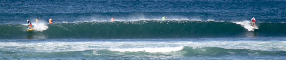 SUP Rentals Tamarindo