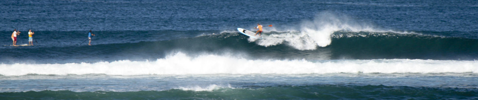 Tamarindo SUP Rentals